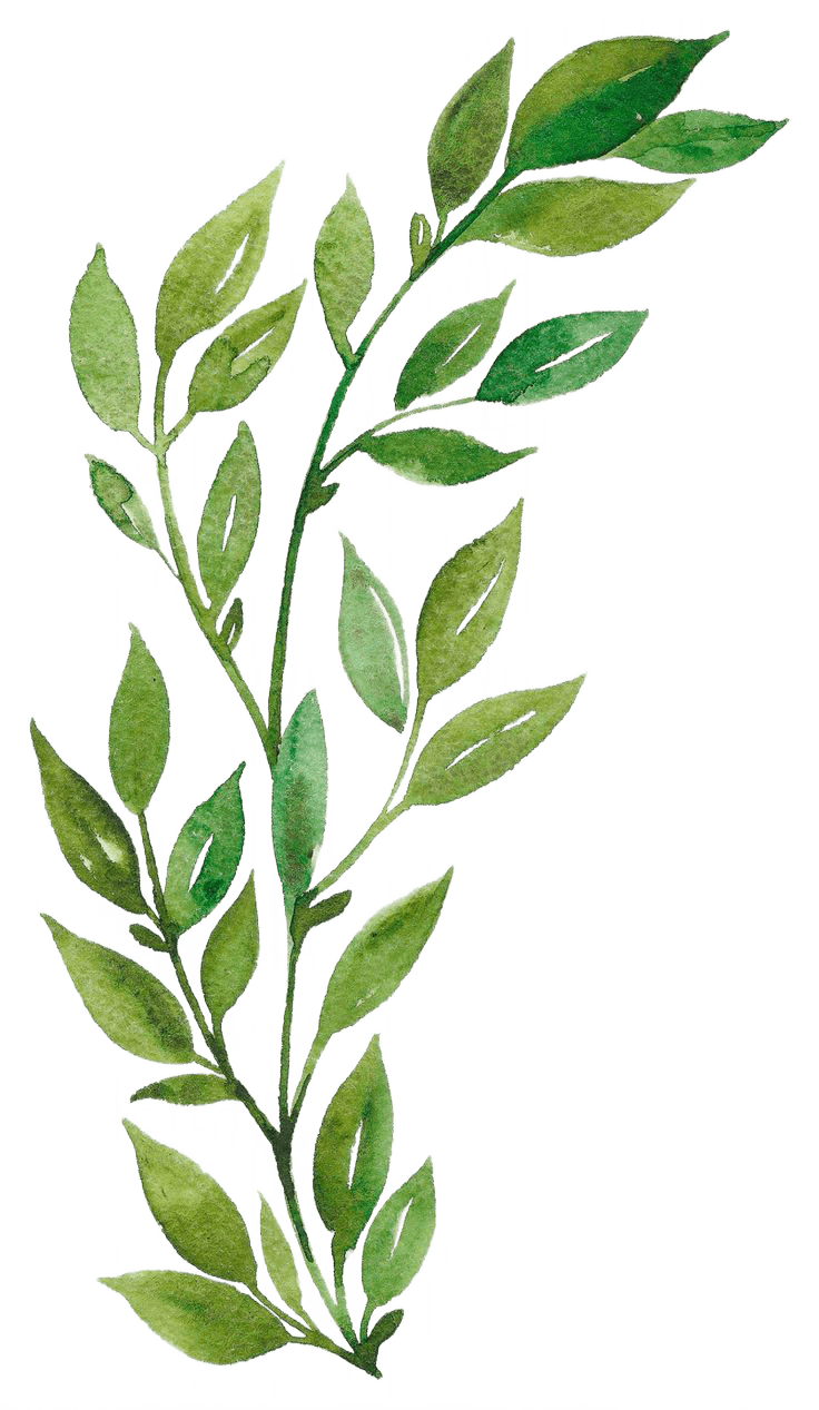 background-img
